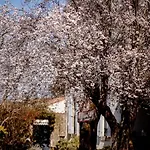 Chez Guilem 3* Saint-Maixent-l'Ecole