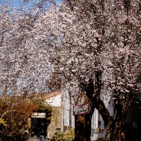 Chez Guilem * Saint-Maixent-lʼÉcole