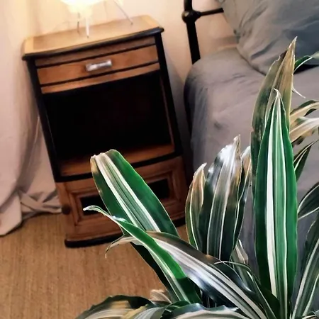 Chez Guilem Отель типа 